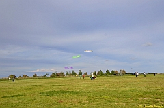 Venice kite festival_0629